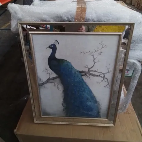 BOXED PEACOCK II FRAMED GRAPHIC ART PRINT