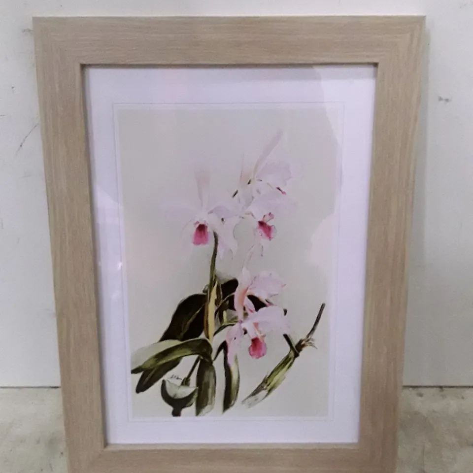 BOXED MAGNOLIA FLOWERS ILLUSTRATION TAB. 85 BY FREDERICK SANDER - PICTURE FRAME PAINTING PRINT