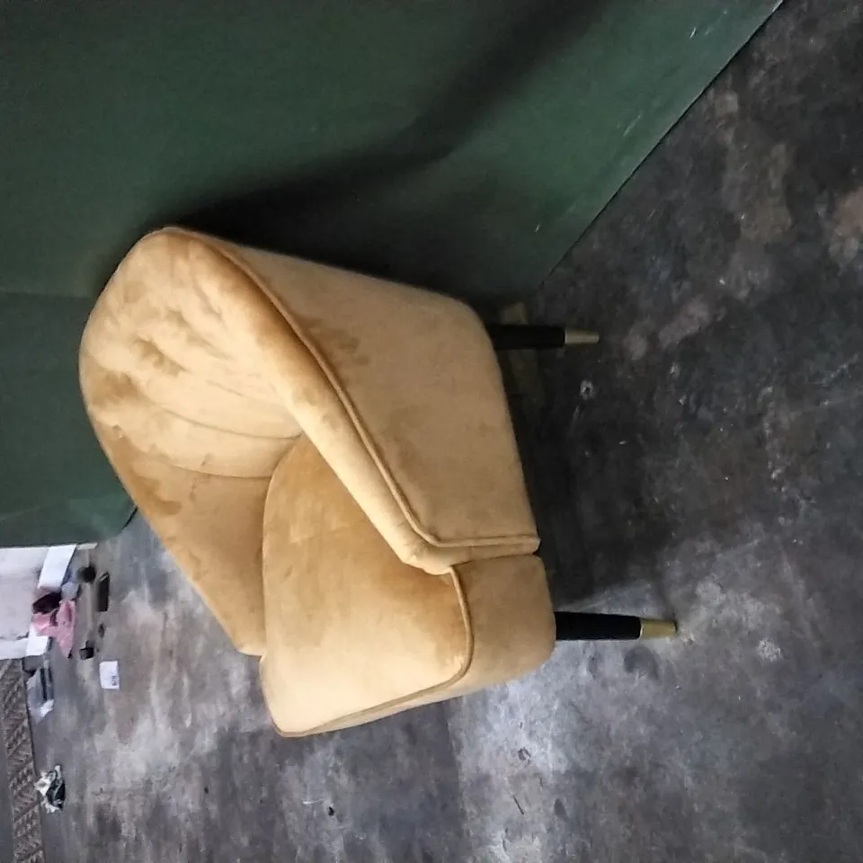 MARLON ARMCHAIR GOLD PLUSH UPHOLSTERY 