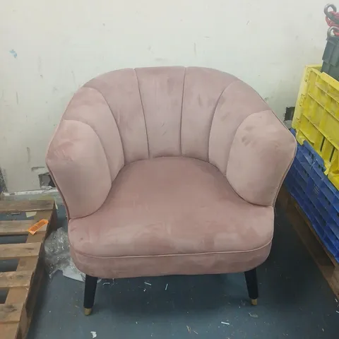 MY HOME STORIES VELVET ARMCHAIR WITH GOLD TIPPED LEGS PINK - COLLECTION ONLY