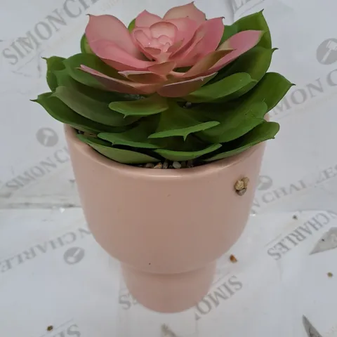 BUNDLEBERRY BY AMANDA HOLDEN STANDING PLANTER WITH FAUX SUCCULENT