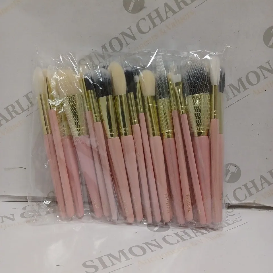 SEALED PLOUISE PRECISE DESTINY BRUSH SET. 