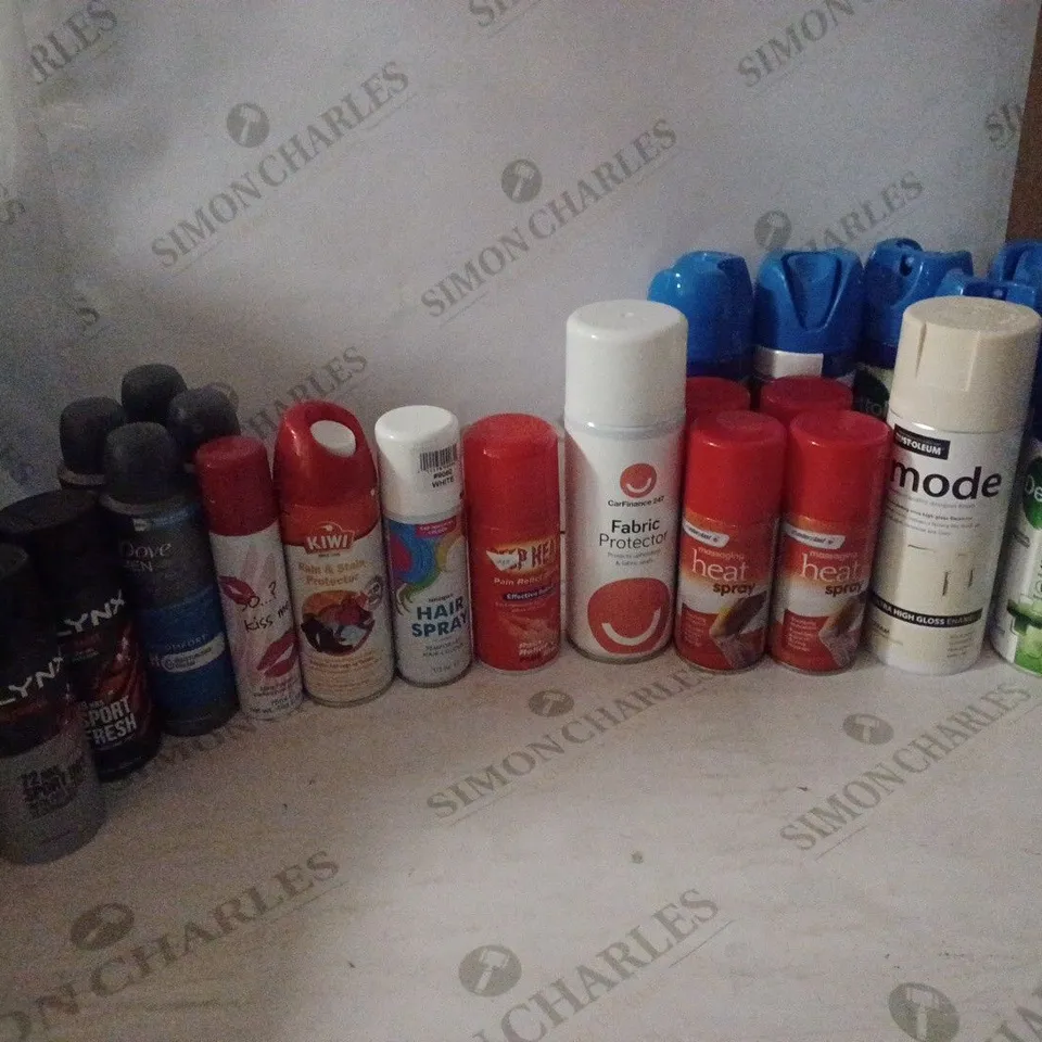 LOT OF HOUSEHOLD ITEMS TO INCLUDE RAIN & STAIN PROTECTOR , HEAT SPRAY , ETC