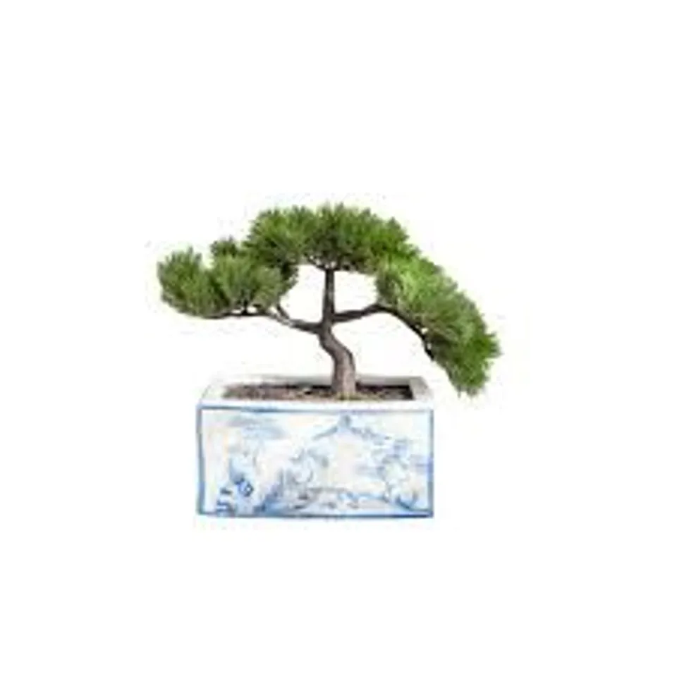 PEONY BONSAI TREE POTTED IN BLUE AND WHITE PLANTER