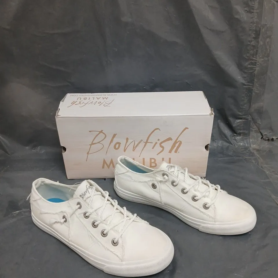 BOXED PAIR OF BLOWFISH MALIBU MARTINA CREAM TRAINER - SIZE 8 