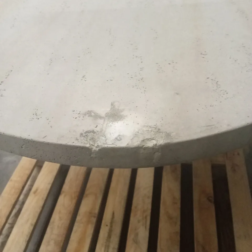 FOSSIL DINING TABLE