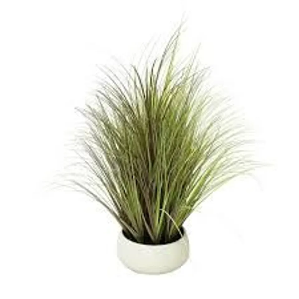 K BY KELLY HOPPEN INDOOR OUTDOOR PRE-LIT LOMANDRA GRASS W/CEMENT POT