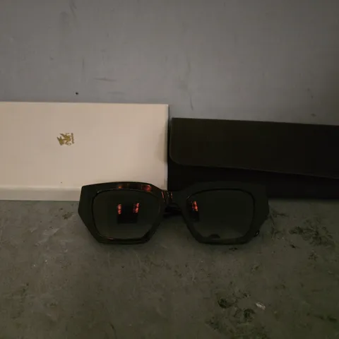BOXED PRAGNELL BROWN SUNGLASSES