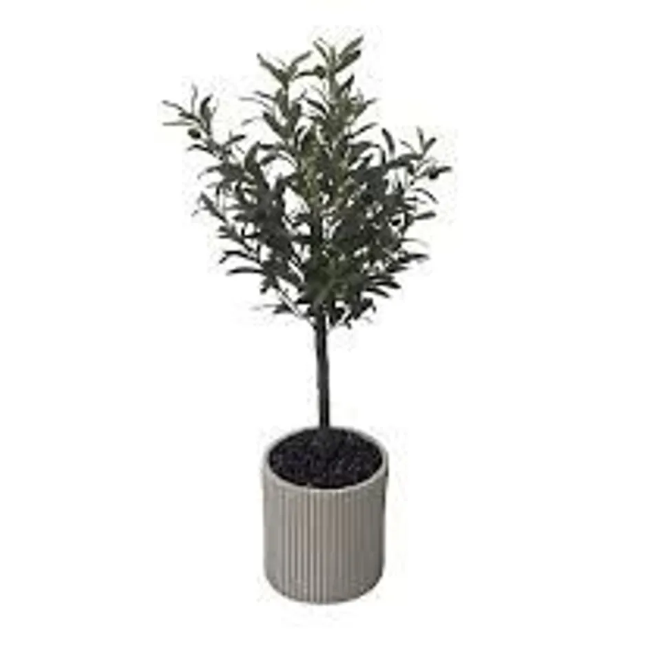 K BY KELLY HOPPEN FAUX OLIVE INDOOR OUTDOOR TREE IN POT