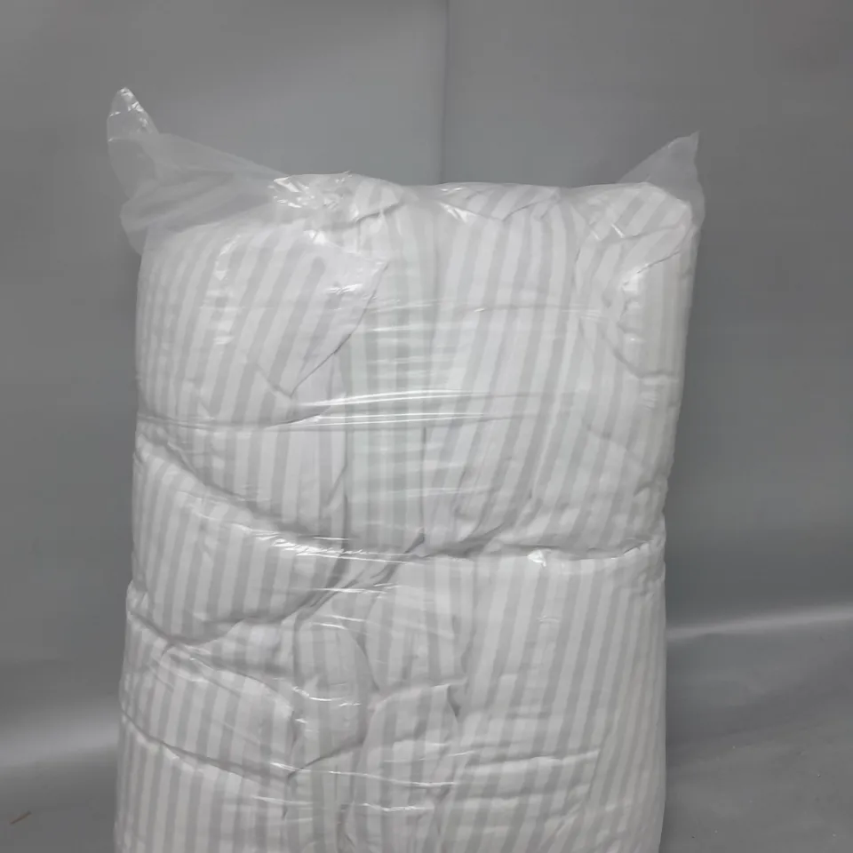 SET OF 4 BAGGED PILLOWS
