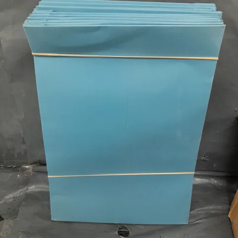 APPROXIMATELY 60 PAPER DOCUMENT HOLDERS 