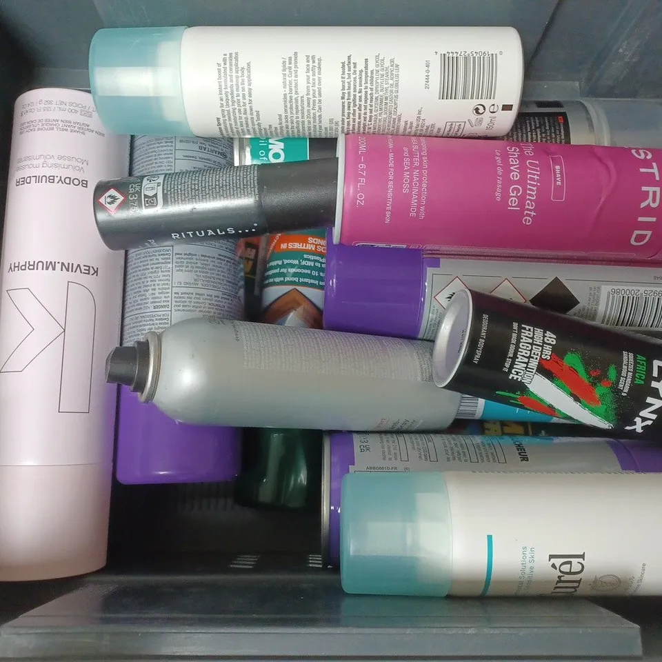 APPROXIMATELY 15 ASSORTED AEROSOLS TO INCLUDE LYNX AFRICA, KEVIN MURPHY BODY BUILDER, MOTOREX INTACTMX 50, ETC - COLLECTION ONLY