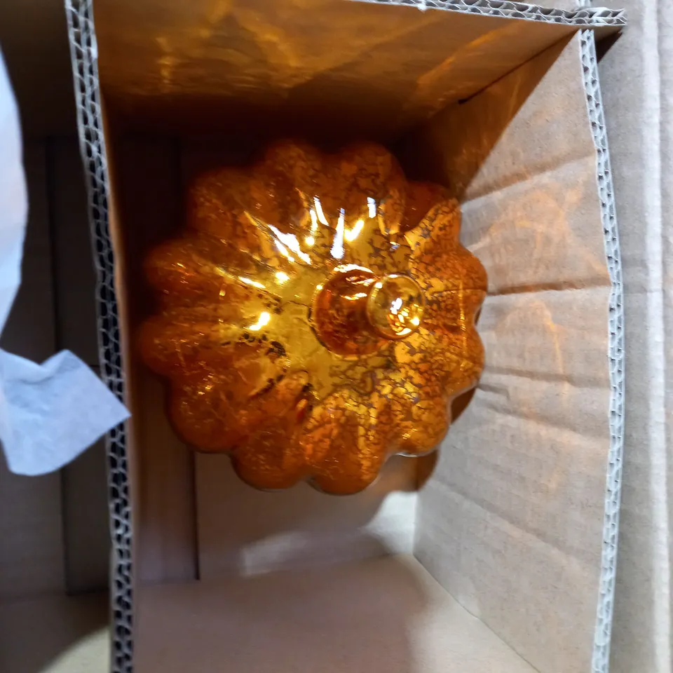 PUMPKINS WITH LEDS RRP £24.99
