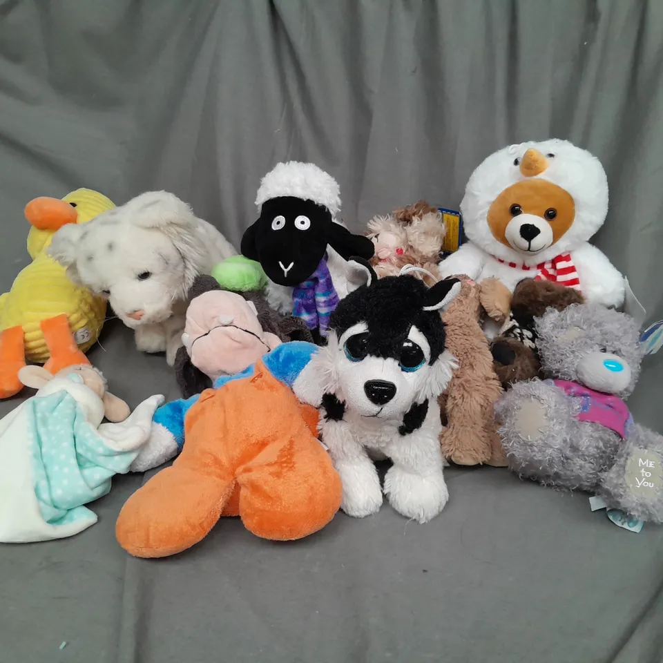 BOX OF ASSORTED PLUSH SOFT TEDDIES