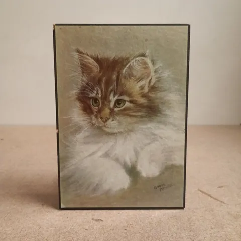 GRACE ARNOLD CAT VINTAGE ART PRINT