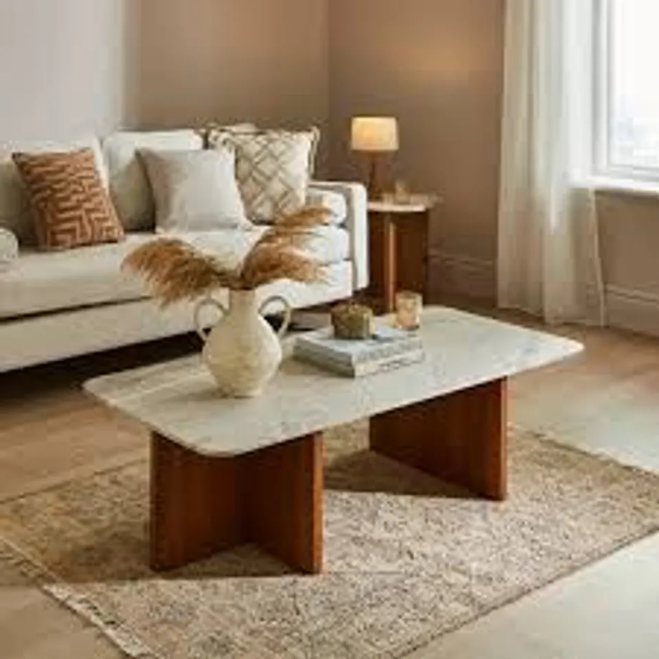 BOXED ARYA RECTANGULAR COFFEE TABLE - MANGO WOOD/MARBLE (2 BOXES)