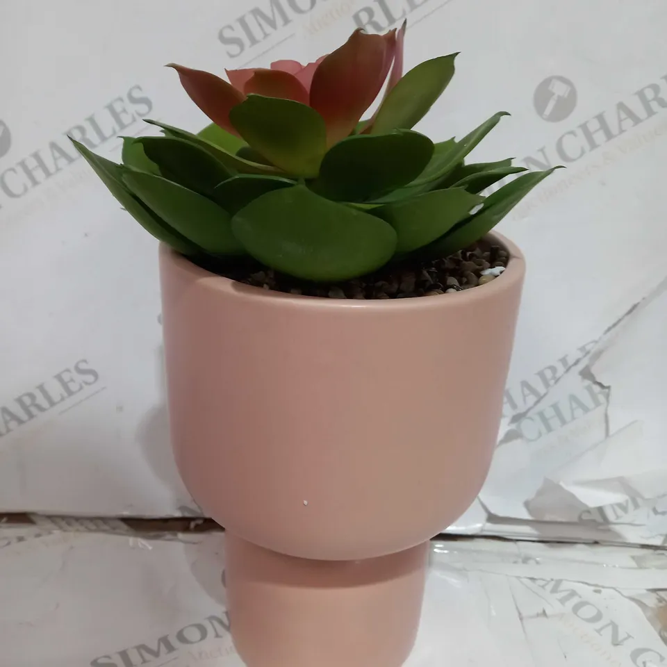 BUNDLEBERRY BY AMANDA HOLDEN STANDING PLANTER WITH LARGE SUCCULENT