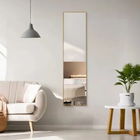Modern Slim Frame Full Length Wall Mirror