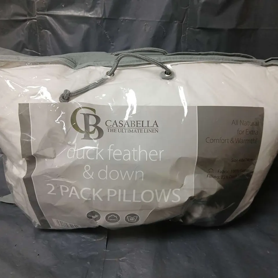 CASABLANCA DUCK FEATHER & DOWN 2 PACK PILLOW IN WHITE