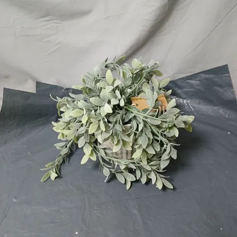 BAYSWOOD FLOWER IN POT ORNAMENT BOXED