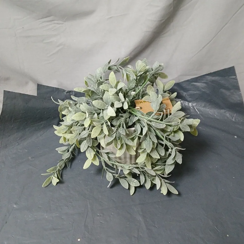 BAYSWOOD FLOWER IN POT ORNAMENT BOXED 