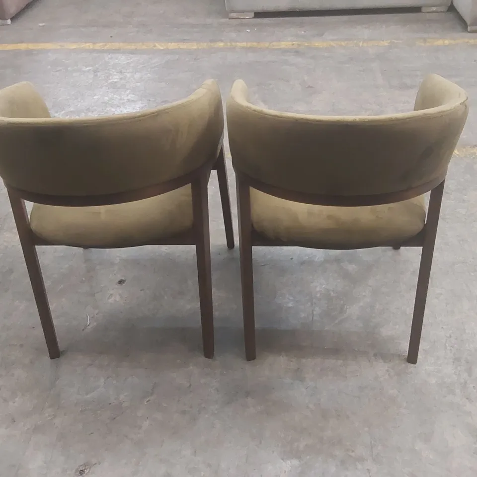 SET OF 2 WALNUT & OLIVE GREEN UPHOLSTERED CURVED DINING CHAIRS