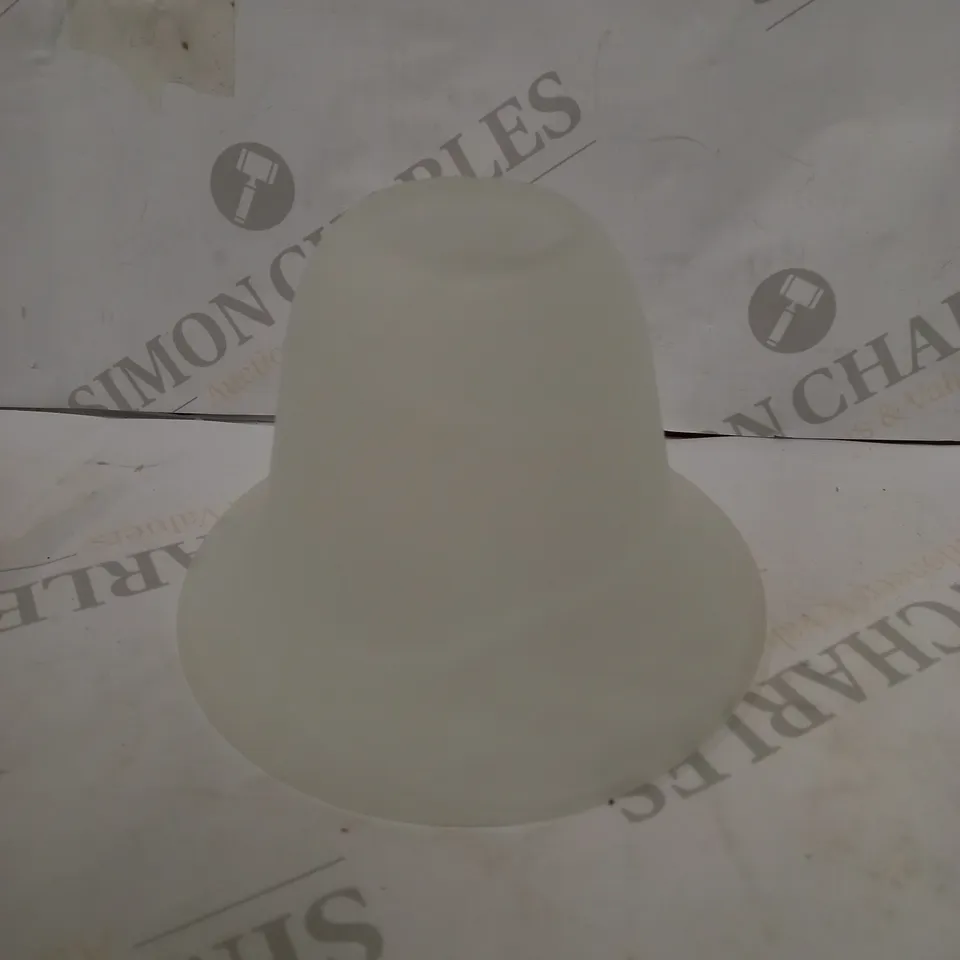 DAVID HUNT LIGHTING GLASS SHADE