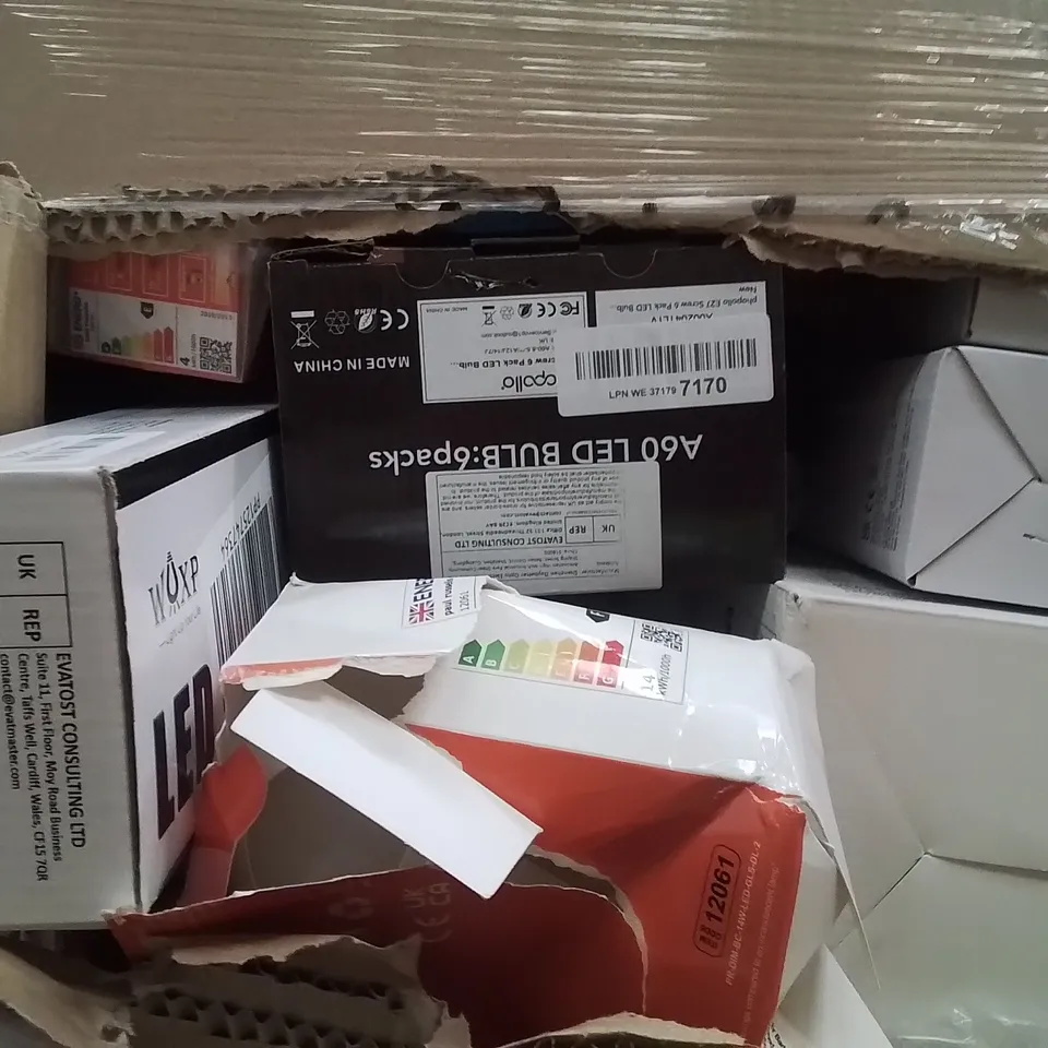 PALLET CONTAINING A LARGE QUANTITY OF BULBS 