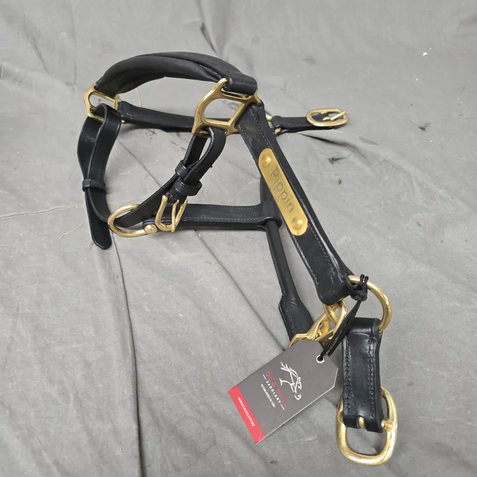 OLD MILL RAISED HEAVY PADDED HEADCOLLAR IN BLACK 