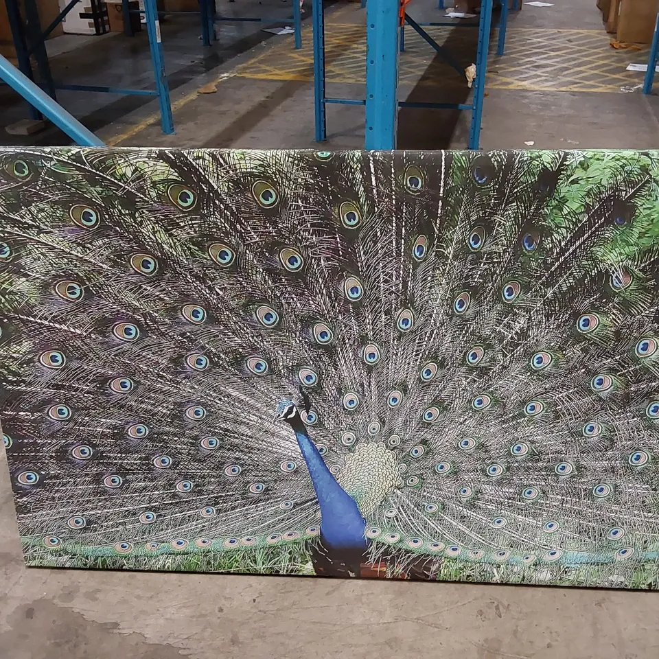 WRAPPED CANVAS PRINT - INDIAN PEAFOWL WILDLIFE (1 ITEM)