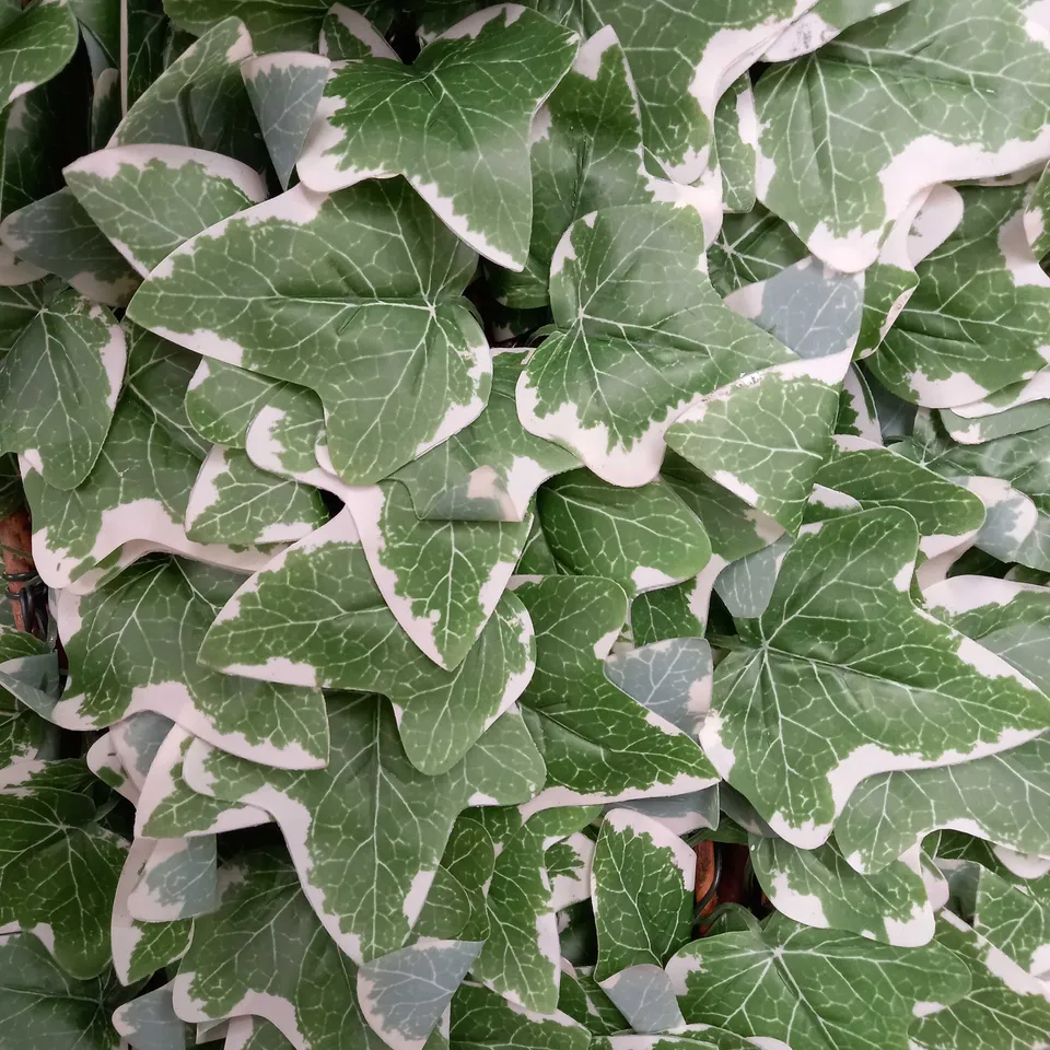 SOLAR IN-LIT IVY TRELLIS - 90 X 180CM (COLLECTION ONLY) RRP £49.99