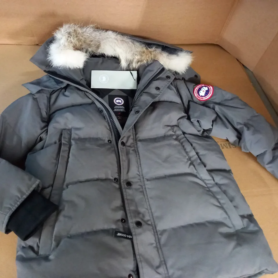 CANADA GOOSE FUSION GREY COAT - S/P