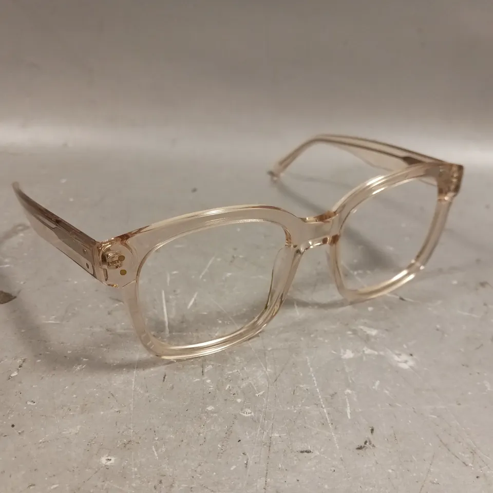 SCOUT FRANCIS CRYSTAL NUDE FRAMES 