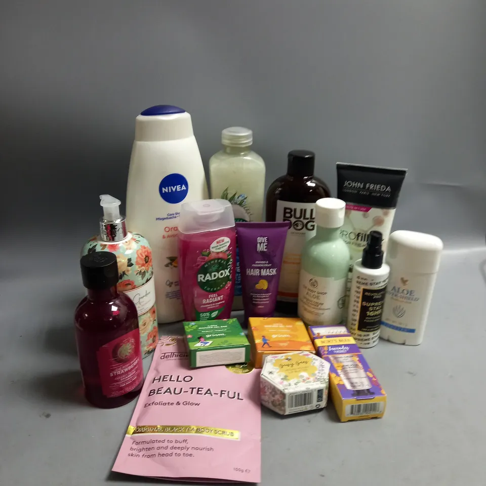 LOT OF ASSORTED BATH, BODY AND HAIR CARE PRODUCTS RADOX, BURT'S BEES