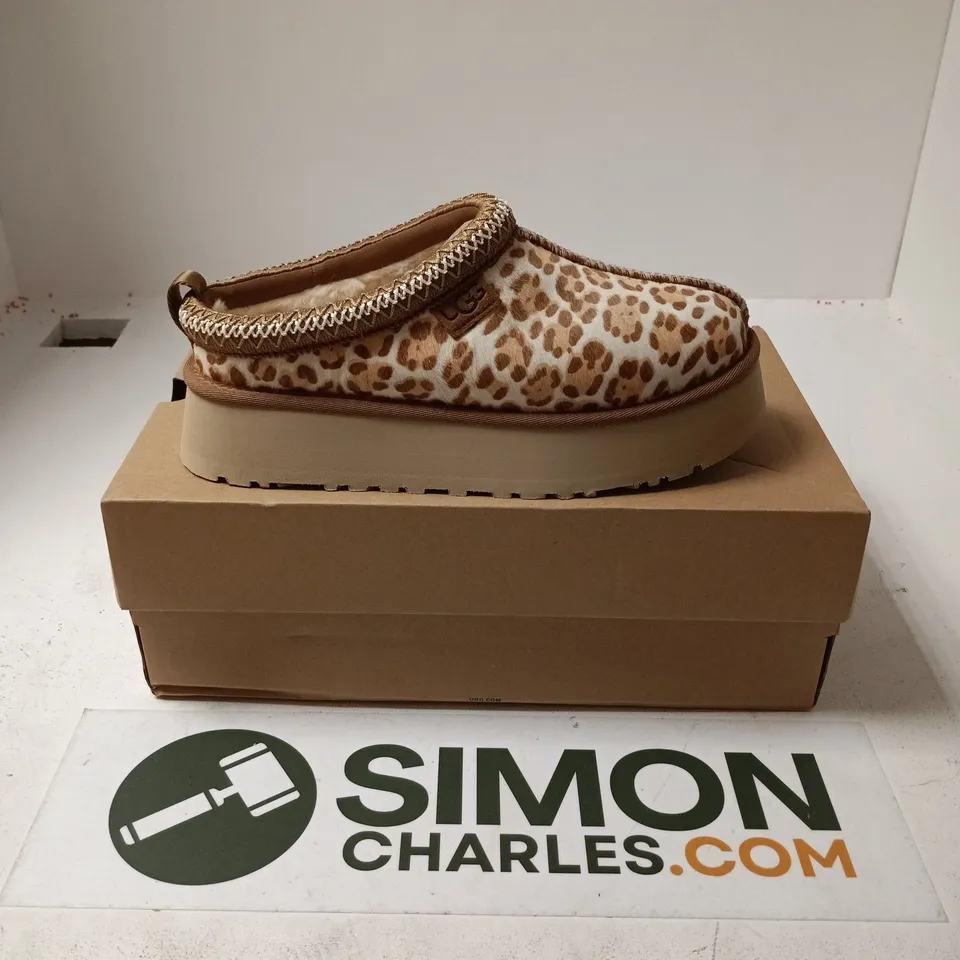 BOXED PAIR OF UGG W TAZZ PLAINS SHOES - UK 6
