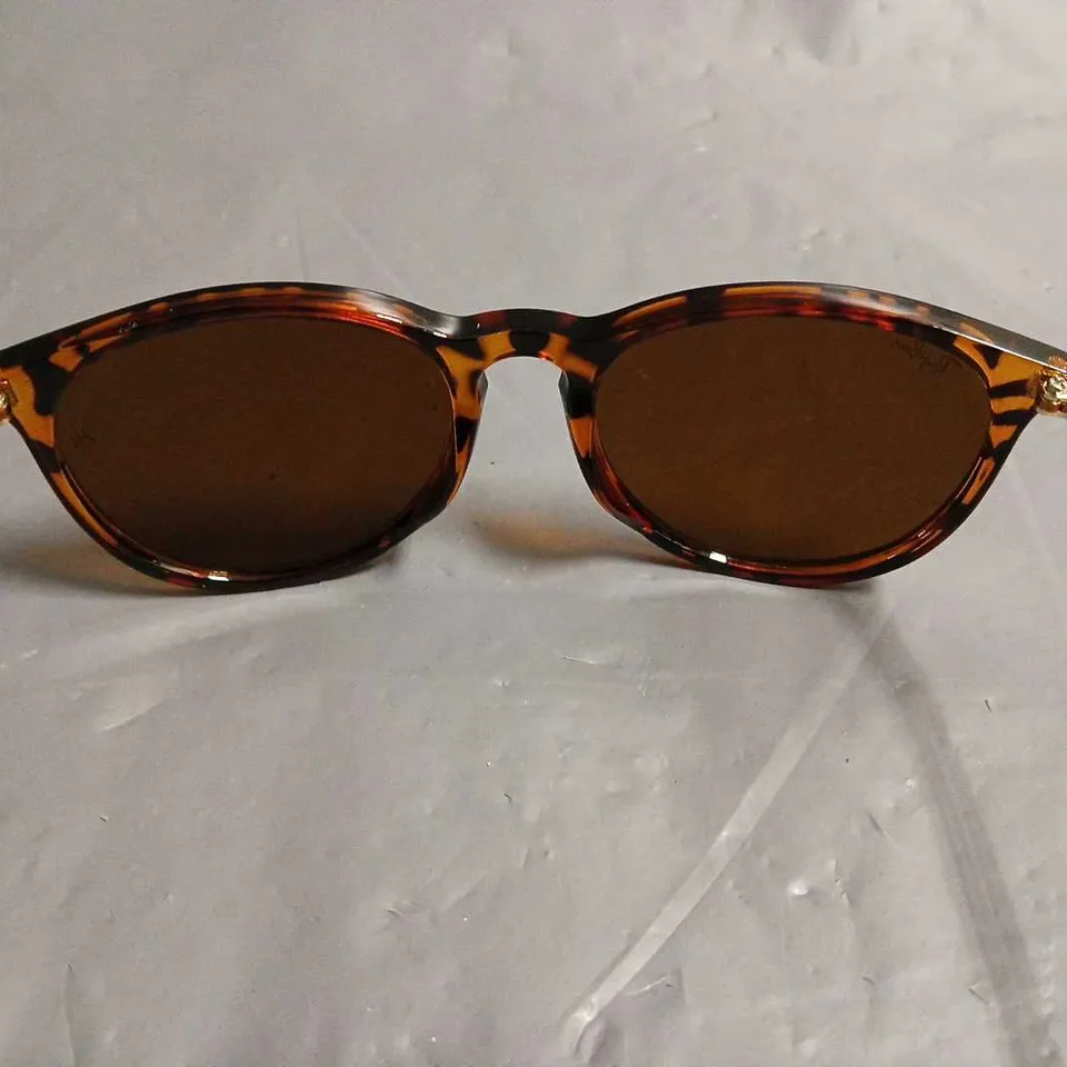 PAIR OF RAY BAN BROWN PATTERENED GLASSES IN CARRY CASE