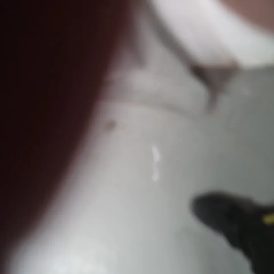 MAYA KENN MIDI SKIRT – BLACK WITH PINK BLOSSOM TREE PRINT, SIZE 6XL-8XL