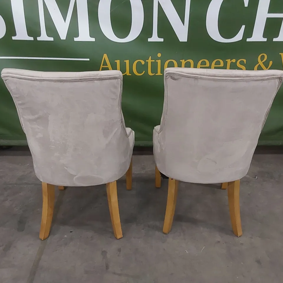 SET OF 2 DUKE MINK VELVET BUTTON BACK DINING CHAIRS WITH OAK LEGS