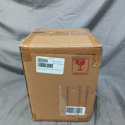 BUNDLEBERRY BY AMANDA HOLDEN FAUX PLANT IN GLAZED CERAMIC POT