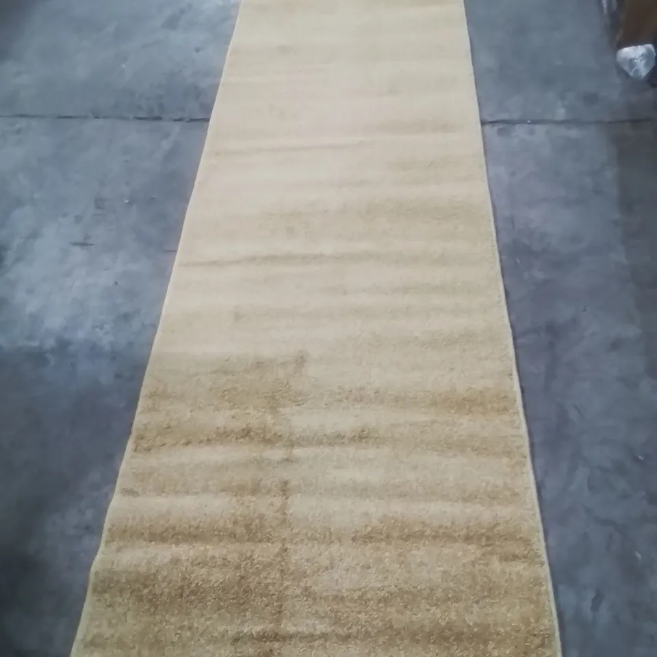 QUALITY DESIGNER AREA RUG - APPROXIMATELY 300X80CM