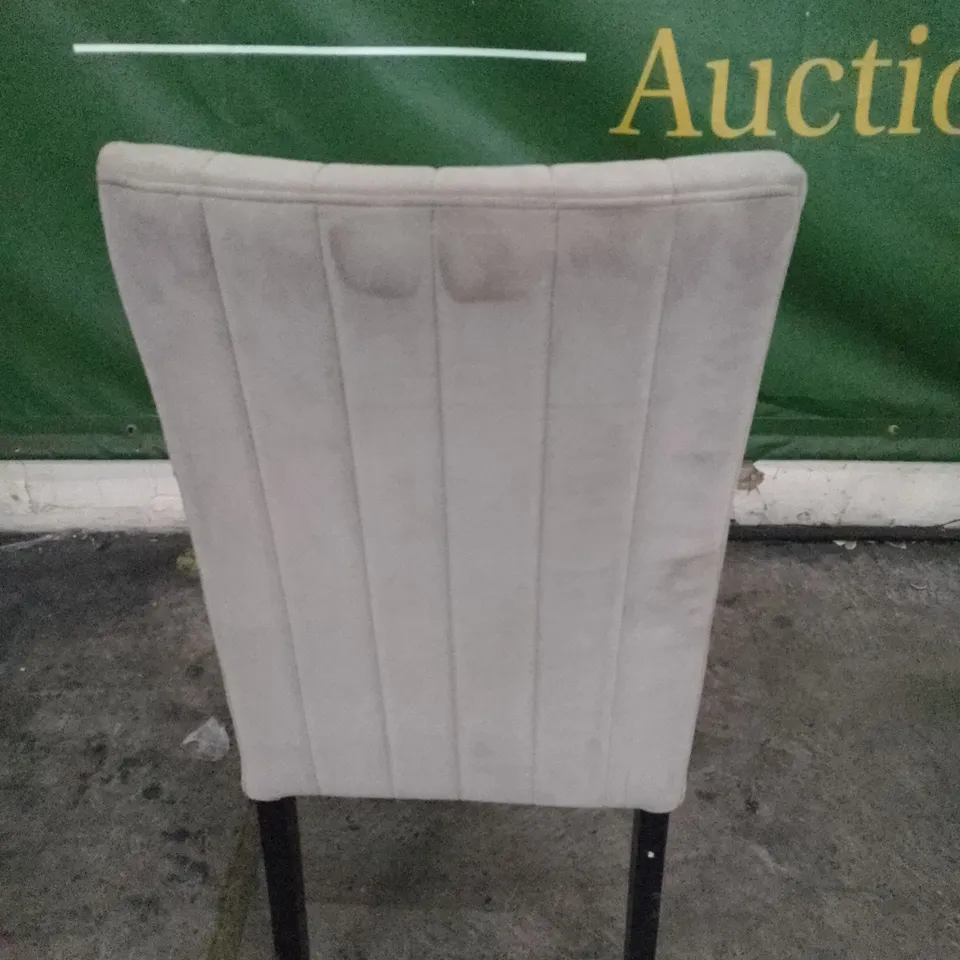 SALISBURY CHAMPAGNE VELVET DINING CHAIR WITH BLACK LEGS