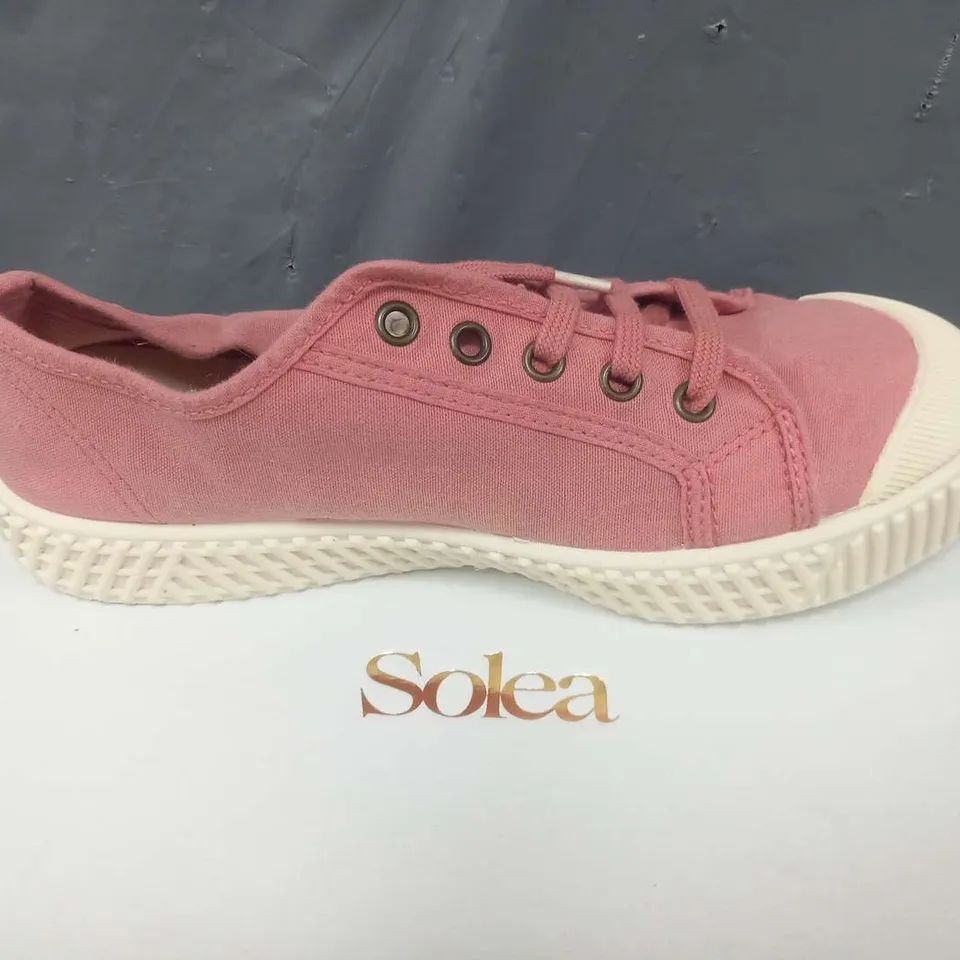 BOXED SOLEA BUMP PALE PINK CANVAS SNEAKERS SIZE 37