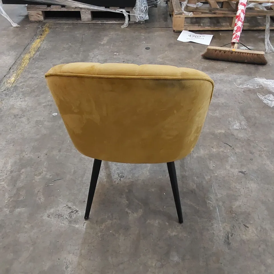 DESIGNER UPHOLSTERED VELVET CHAIR - MUSTARD 