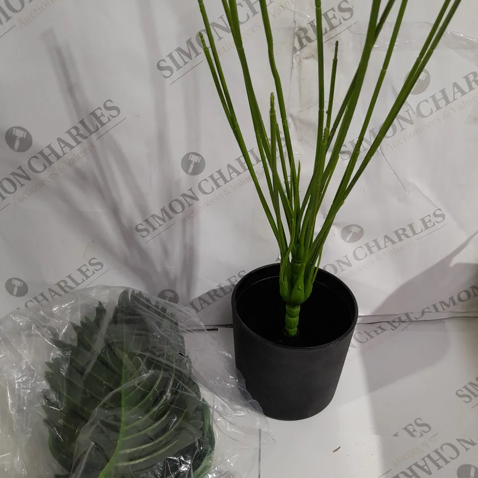 plastic plant 