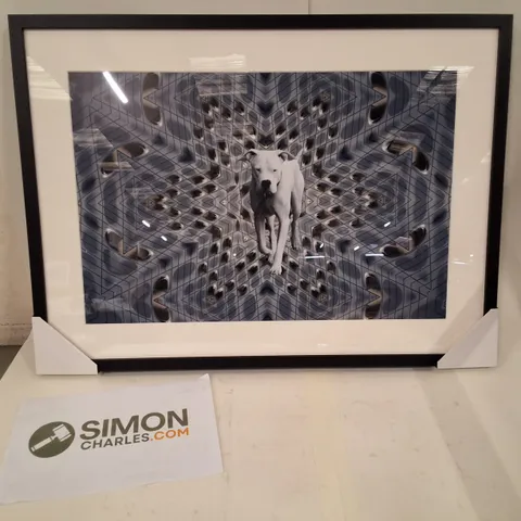 DOGO ARGENTINO KALEIDOSCOPE - FRAMED PRINT