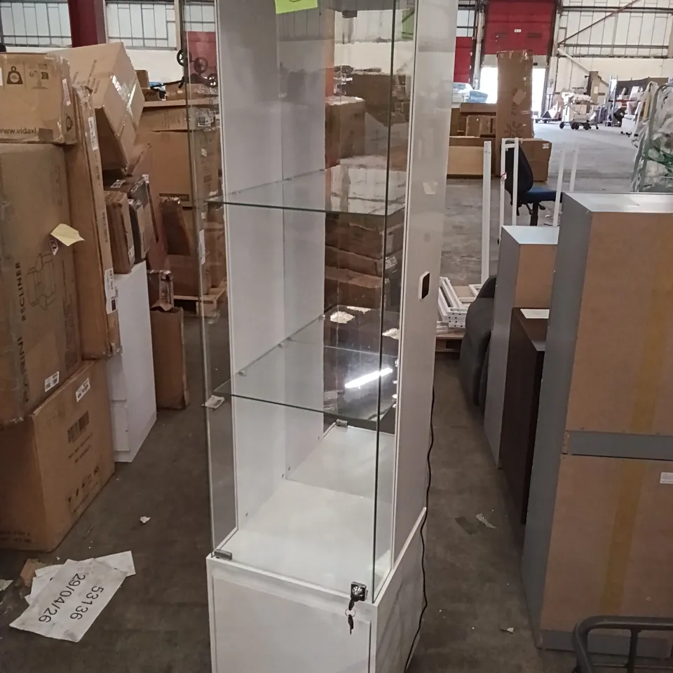 GLASS DISPLAY CABINET WITH 3 COLOR LED LIGHTS, WINE CABINET WITH LOCK