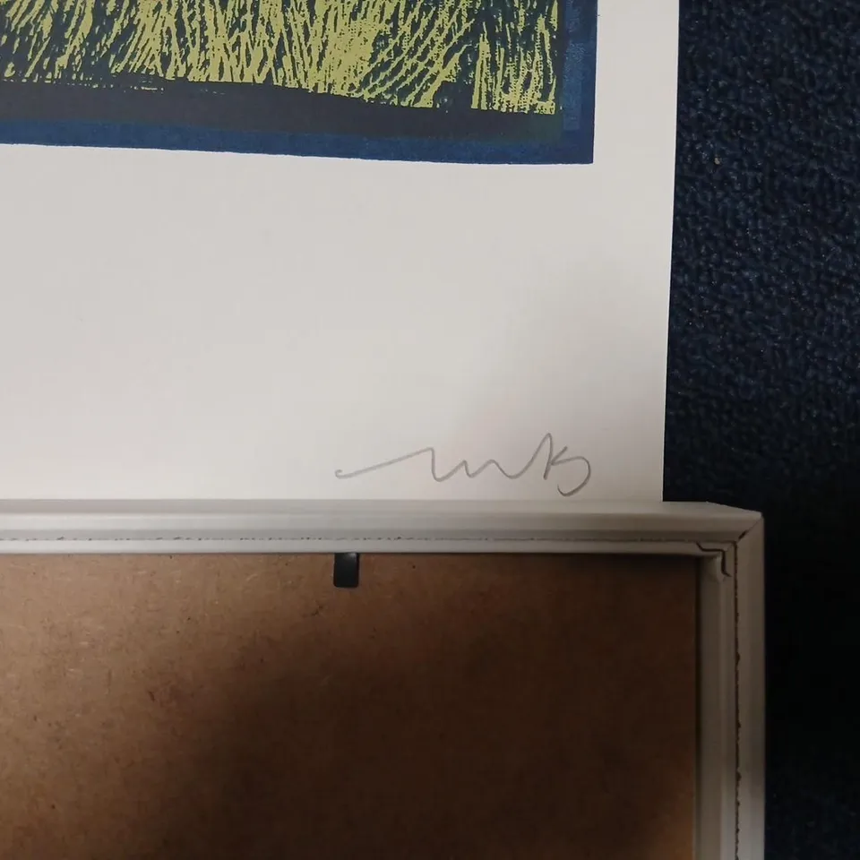 Dermot Kennedy – The Weight of the Woods Screenprint signed and numbered # 97/525