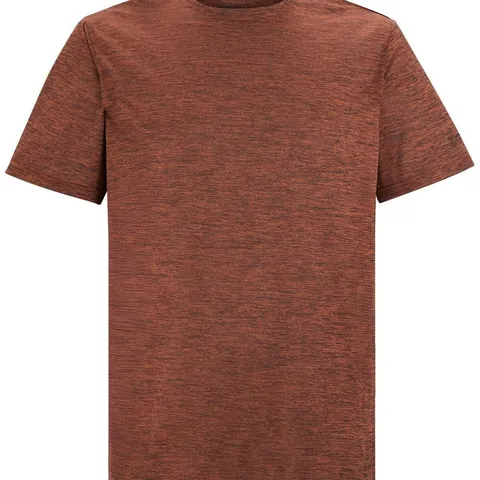 BRAND NEW REGATTA FINGAL EDITION SHORT SLEEVE T-SHIRT IN RED OCHRE SIZE 3XL
