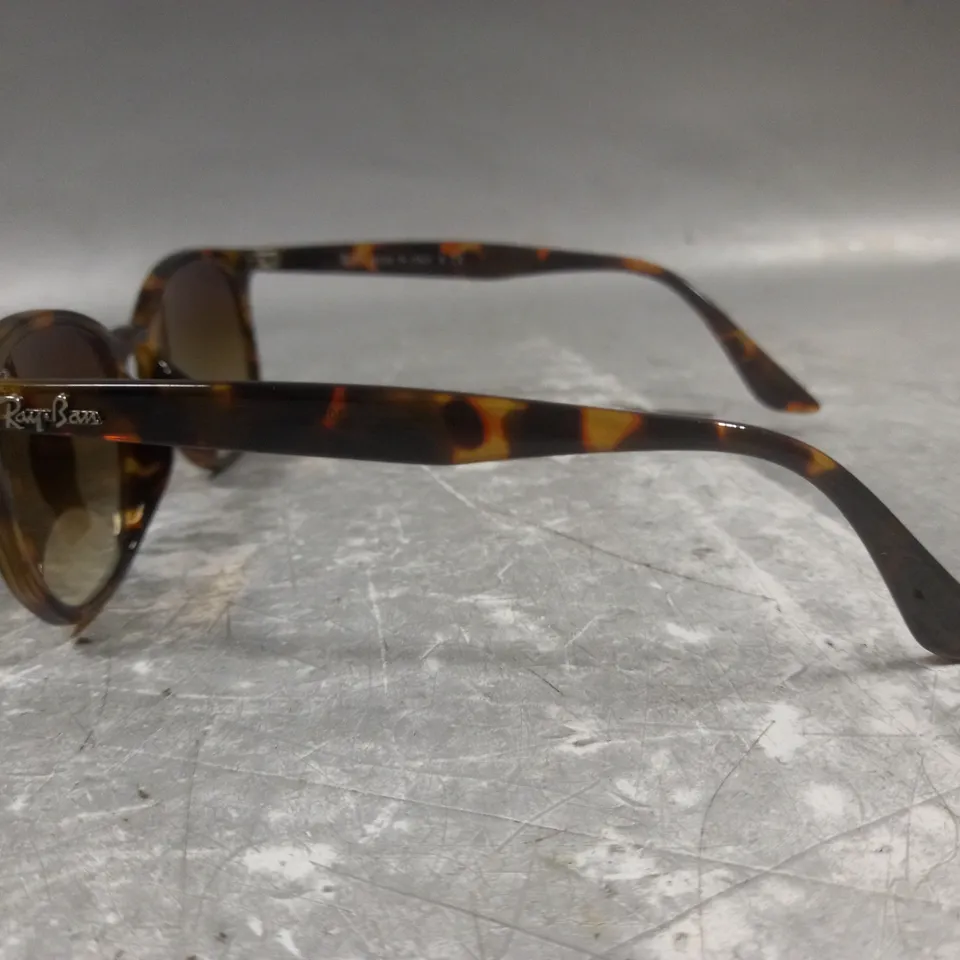 RAYBAN BROWN PATTERNED GLASSES WITH G-15 LENS IN CASE 