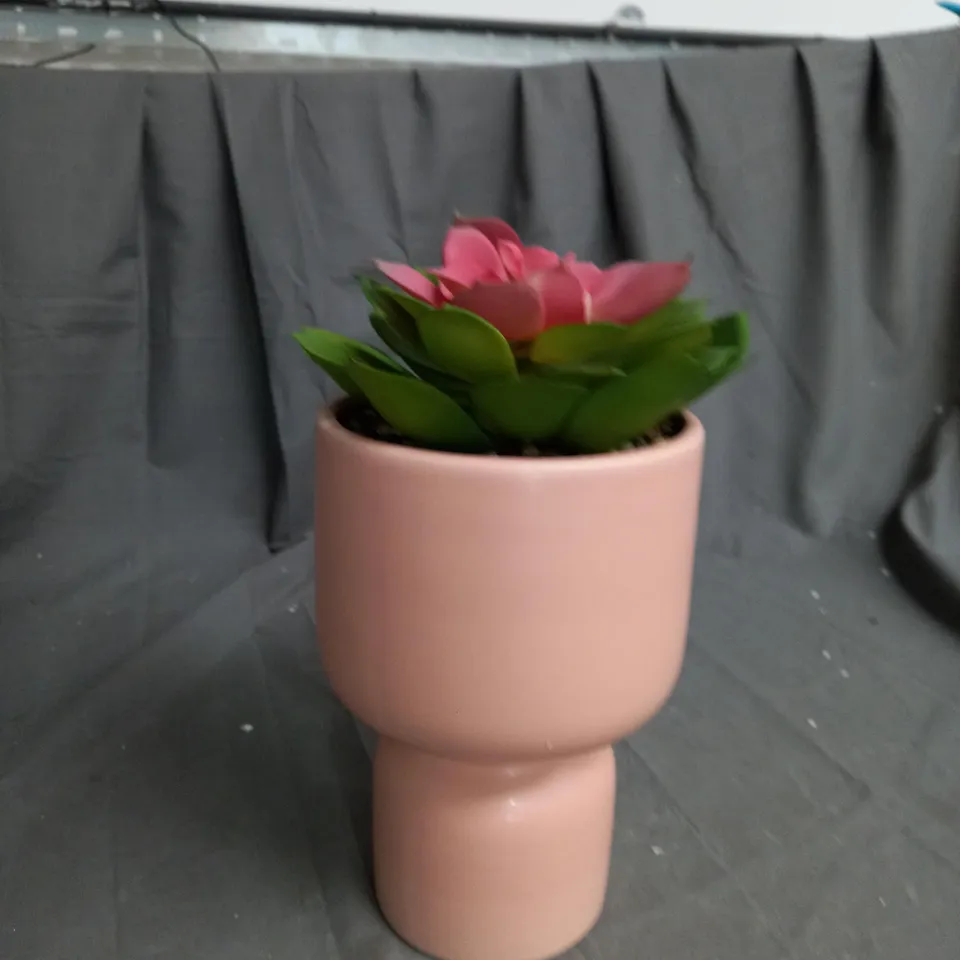 BOXED BUNDLEBERRY BY AMANDA HOLDEN STANDING PLANTER WITH FAUX SUCCULENT